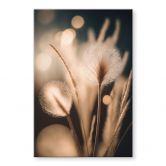 Acrylglasbild Boho Gräser im goldenen Licht - Treechild 