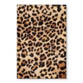 Acrylglasbild Wilder Leopard - Animal Print - Tunaboylu 