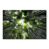 Acrylglasbild Hugonnard - Wald in Japan 