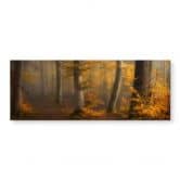 Acrylglasbild Goldene Blätter im nebligen Wald - Maier - Panorama 