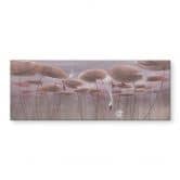 Acrylglasbild Lotusblumen mit Schwan im Wasser in Altrosa - Ms Tiff - Panorama 