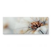 Acrylglasbild Blütenstruktur einer Trockenblume - Treechild - Panorama 