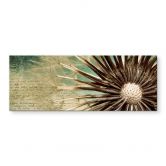 Acrylglasbild Pusteblumen-Poesie - Panorama 