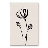 Wandbild Line Art Mohnblume - Cats & Dotz - Alu-Dibond 