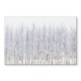 Wandbild Birkenwald im Winter - EMELIEmaria - Alu-Dibond 