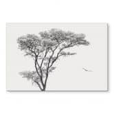 Wandbild Minimalistischer Baum in ruhiger Landschaft - Flour - Alu-Dibond 