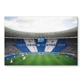 Wandbild Hertha BSC - Blau-weiße Choreo im Olympiastadion - Alu-Dibond 