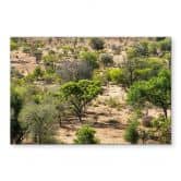 Wandbild Savannenlandschaft in Afrika - Hugonnard - Alu-Dibond 