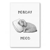 Wandbild Monday mood - Hase am Montagmorgen - Korenkova - Alu-Dibond 