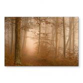 Tableaux brume et lumière dans une forêt en automne - Maier - Alu-Dibond 
