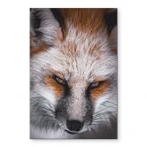 Wandbild Tierporträt Rotfuchs - Alu-Dibond - Nagi 