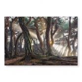 Wandbild Heiliger Kiefernwald - Ryu - Alu-Dibond 