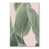 Wandbild Calathea Pflanze - Sisi & Seb - Alu-Dibond 