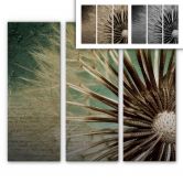 Alu-Dibond Bild Pusteblumen-Poesie (3-teilig) 