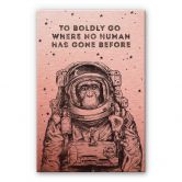 Alu-Dibond Kopereffect – To boldly go… 