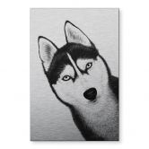 Alu-Dibond mit Silbereffekt Sibirischer Husky - Hundeporträt - Korenkova 