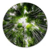 Alu-Dibond Hugonnard - Wald in Japan - Rund 