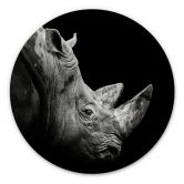 Alu-Dibond Meermann - Das Nashorn - Rund 