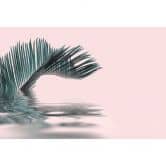 Livingwalls Fotobehang ARTist Palm Leaf Water 