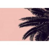 Livingwalls Fototapete ARTist Palm Tree mit Palme rosa, schwarz 