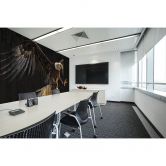 Fototapete Atelier 47 Polygon Eagle Tiere - Architects Paper 