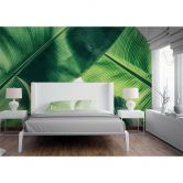 Livingwalls Fototapete Designwalls Broken Leaf Natur 