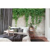 Livingwalls Fototapete Designwalls Climbing Leaves Natur 