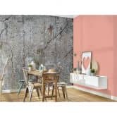 Livingwalls Fototapete Designwalls Old Concrete in Betonoptik 