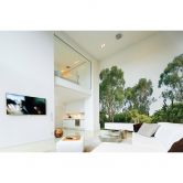 Livingwalls Fototapete Designwalls Treetop Wald 