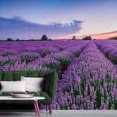 Lavendel-Fototapete Lila Blau – Vliestapete 3,75 m x 2,50 m Blütenfeld Provence 