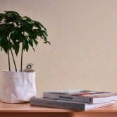 Einfarbige Vliestapete Creme - Tapete Putzoptik - Unitapete Strukturtapete Wohnzimmer Büro 