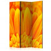 Paravent, Raumteiler freistehend, Trennwand - Gelbe Gerbera 