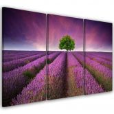 Leinwandbild 3-teilig, Lila Blumenwiese 