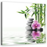 Leinwandbild, Wassergarten Zen 