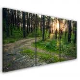 Leinwandbild 3-teilig, Wald Natur Straße Landschaft 