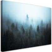 Leinwandbild, Wald im Nebel 