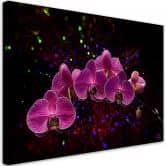 Leinwandbild, Orchidee Rosa Blumen Spa 