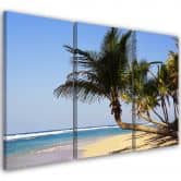 Leinwandbild 3-teilig, Tropischer Strand Ozean 