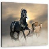 Canvasbillede, Flok af heste 