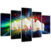 Leinwandbild 5 teilig, Bunte Orchidee 