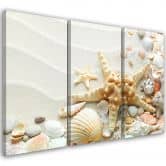 Leinwandbild 3-teilig, Seestern und Muscheln 