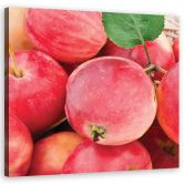 Leinwandbild, Makro -Apple Obst 