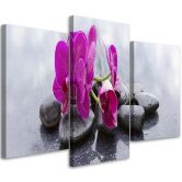 Leinwandbild 3-teilig, Orchidee Blumen Steine Lila 