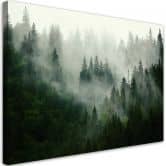 Leinwandbild, Wald im Nebel 