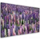 Leinwandbild 3-teilig, Lila Blumen Natur Wiese 