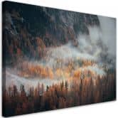 Leinwandbild, Landschaft Wald im Nebel 