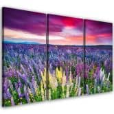 Leinwandbild 3-teilig, Lavendelfeld Natur 