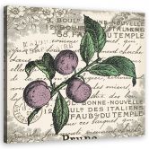 Canvasbillede, vintage blomme 