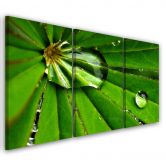 Leinwandbild 3-teilig, Leafy Rosy Tropfen 