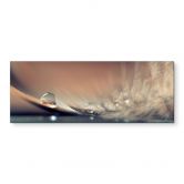 Wandbild Story of a Waterdrop - Dmitry - Panorama - Alu-Dibond 